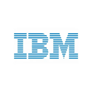 IBM Financial Model